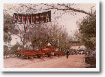 Fiera Mercato Agricoltura Zootecnia Artigianato di Ribera (anno 1967)